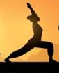 Pratica di Shiva Flow